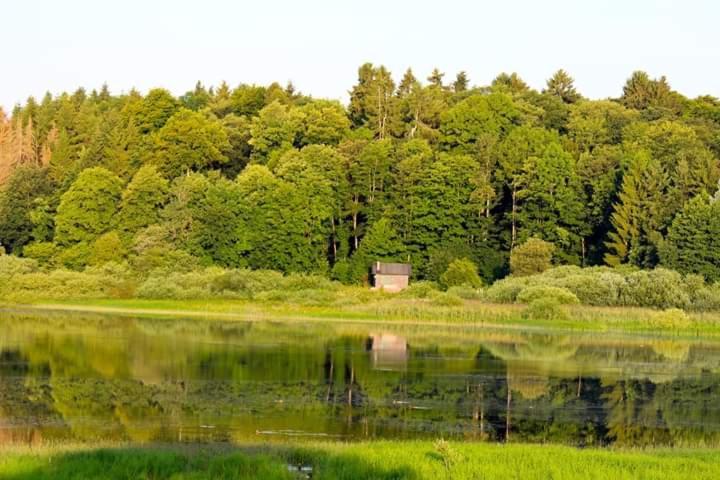 Ferienhaus Mauer Krombachtalsperre, Exclusive Nebenkosten Strom Driedorf Exteriör bild